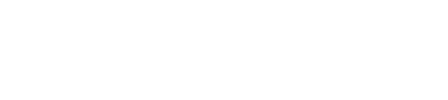 DATAVIMA:Data & Technology Consulting